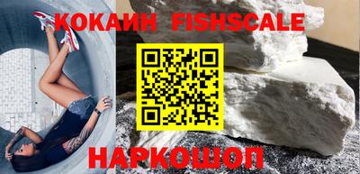 прущие крисы Шелехов
