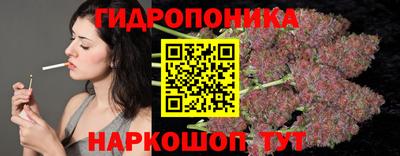 a pvp Шебекино