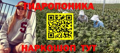 соль ск Шахты