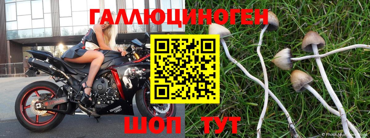 Галлюциногенные грибы ЛСД Рассказово